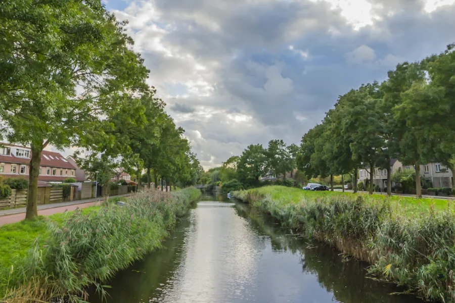 Hero Daalmeer-Koedijk